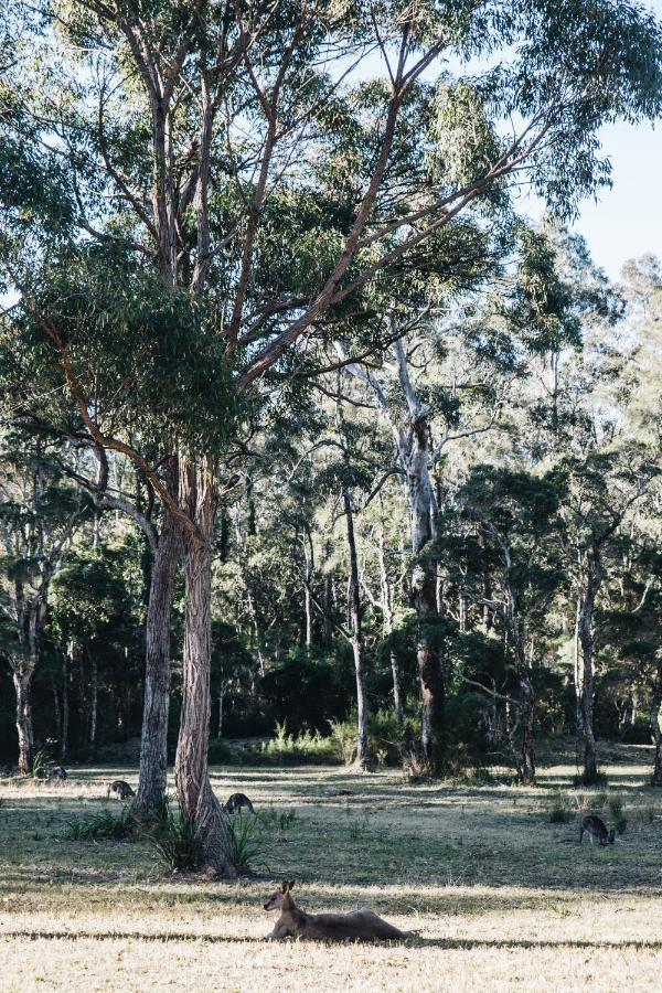 Worrowing Jervis Bay Hotel ฮัสกิสสัน ภายนอก รูปภาพ